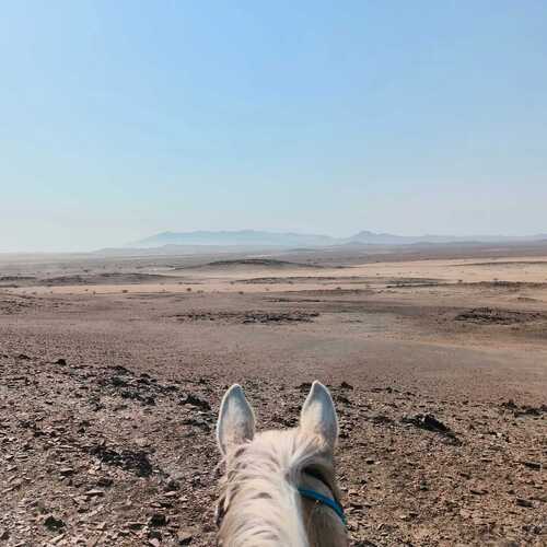 IMG_20240913_162517_809-1